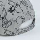 Cool Club, Czapka z daszkiem chłopięca, szara, Looney Tunes