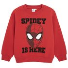 Cool Club, Dres chłopięcy, mix, Spider-Man