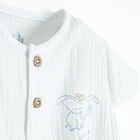 Cool Club, Komplet chłopięcy, Body z krótkim rękawem, Szorty, bloomersy, mix, Dumbo