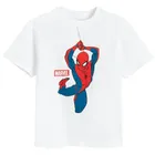 Cool Club, Komplet chłopięcy, T-shirt, Szorty, mix, Spider-Man