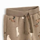 Cool Club, Spodnie dresowe chłopięce, brązowe, Muminki