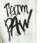 Cool Club, Spodnie dresowe chłopięce, szare, Psi Patrol