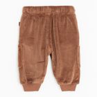 Cool Club, Spodnie dresowe chłopięce, welurowe, brązowe