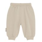 Cool Club, Spodnie dresowe niemowlęce, beżowe