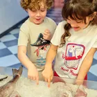 Cool Club, T-shirt chłopięcy, beżowy