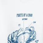 Cool Club, T-shirt chłopięcy, biały, zestaw, 2 szt.