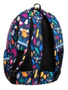 CoolPack, Basic Plus, plecak szkolny, 2-komorowy, Lady Color