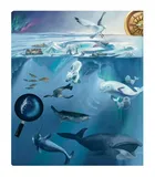 Czytaj z Albikiem. Tajemnice mórz i oceanów