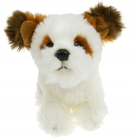 Dubi Plusz, Pies Shih tzu, maskotka, 18 cm