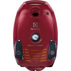 Electrolux, odkurzacz, EPF61RR
