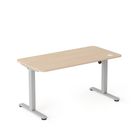 Entelo, Axio, biurko elektryczne regulowane, rozmiar 5-6, 120-60 cm, brzoza