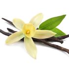 Essentia Nature, odświeżacz w sprayu do tkanin i wnętrz, Wanilia i Kaszmir, 250 ml