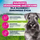 Eukanuba, Mature Small, kurczak, karma sucha dla psów, 3 kg