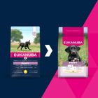 Eukanuba, Puppy Large rich in chicken, karma sucha dla psa, 15 kg