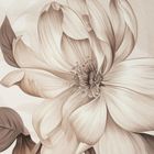 Eurofirany, pościel, Dakota, 160-200 cm, ciemnobeżowy