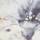 Eurofirany, pościel, Daria, 220-200 cm, biały