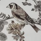 Eurofirany, pościel, Doris, 160-200 cm, biały