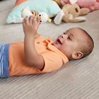 Fisher-Price, Grzechotka gryzaczek, Gąska, zabawka niemowlęca