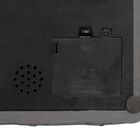 Fééric Lights and Christmas, domek bożonarodzeniowy, 16 LED, 18,5 cm