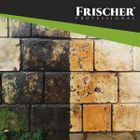 Frischer, płyn do czyszczenia elewacji, 1l