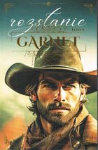 Garnet. Tom 4. Rozstanie (ilustrowane brzegi)