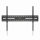 Gembird, uchwyt ścienny do telewizora, 43"-100"