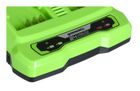 Greenworks, Dual Slot, ładowarka, 24v, 2a