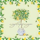 Henry, karnet z kopertą, 15-15 cm, Drzewko Cytryn