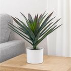 Home Styling Collection, Orno, sztuczna roślina dekoracyjna, agawa w białej doniczce, 40-50 cm