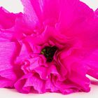 Homla, Carta, gałązka sztuczna, papierowa fuksjowa, 60 cm