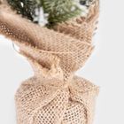 Homla, Dula, choinka, szroniona zielona w jucie, 30 cm