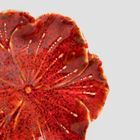 Homla, Edme, taca dekoracyjna, ceramicza czerwona, 13-11,5-3 cm