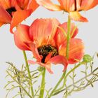 Homla, Emra, gałązka sztuczna maki pomarańczowe, 76 cm