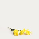 Homla, Fersia, gałązka sztuczna, frezja żółta, 58 cm