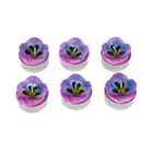 Homla, Floral Aura, zestaw świec, fiołki, 126g, 6 szt.