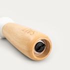 Homla, Gustero, młynek, do soli, 19,5 cm