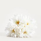 Homla, Lieger, bukiet kwiatów, biały, 30 cm