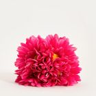 Homla, Lieger, bukiet kwiatów, ciemnoróżowy, 30 cm