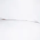 Homla, Maisy, zestaw dwóch poszewek, z mikrofibry białych, 50-60 cm, 2 szt.