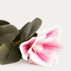 Homla, Manolia, gałązka sztuczna, magnolia, 68 cm