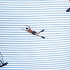 Homla, Mare, pościel, z mikrofibry w wakacyjny wzór, 160-200 cm