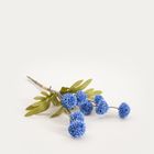 Homla, Marita, bukiet kwiatów, stokrotki pełne niebieskie, 52 cm