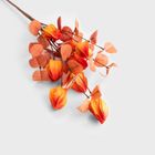 Homla, Michu, gałązka sztuczna, miechunka pomarańczowa, 60 cm