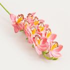 Homla, Orkid, gałązka sztuczna, orchidea różowa, 109 cm