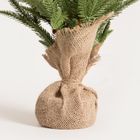 Homla, Stina, choinka, zielona w jucie ze złotymi i czerwonymi bombkami