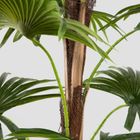 Homla, Tropical Zone, roślina sztuczna, palma wysoka, 150 cm