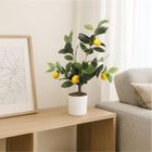 Ibergarden, dekoracyjne drzewko cytrynowe, 58 cm