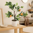 Ibergarden, dekoracyjne drzewko, pomarańczowe, 58 cm