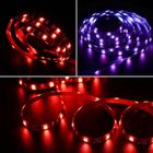Itead, Sonoff, inteligentna taśma LED, L1 RGB, 2 m