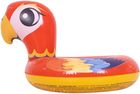 Jilong, kółko do pływania, zwierzątka, papuga, 55 cm